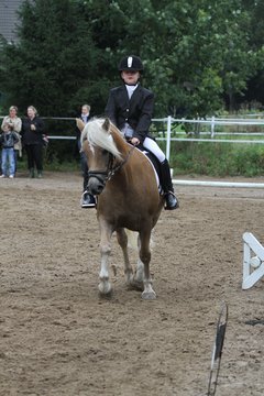 Bild 1022 - WBO-Turnier am 18.9.11